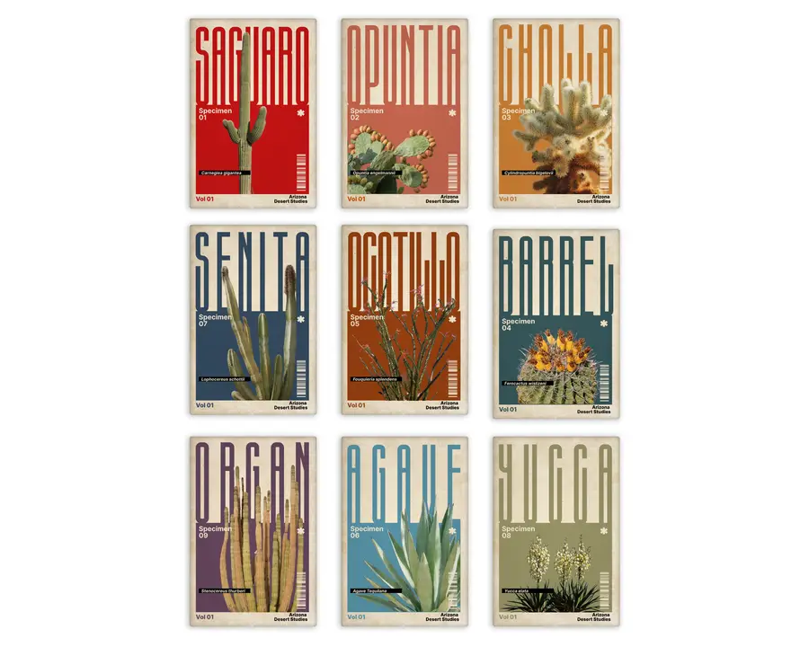 Complete Arizona Desert Studies set showing all nine portrait cactus and desert plant magnets
