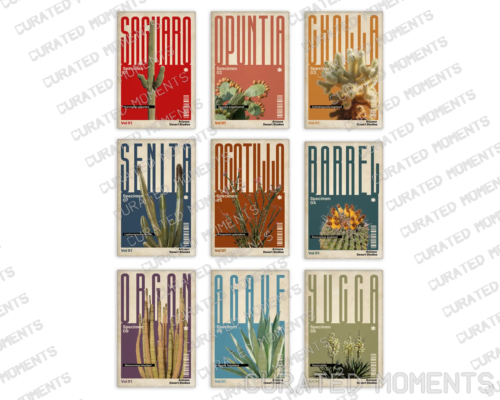 Complete Arizona Desert Studies set showing all nine portrait cactus and desert plant magnets