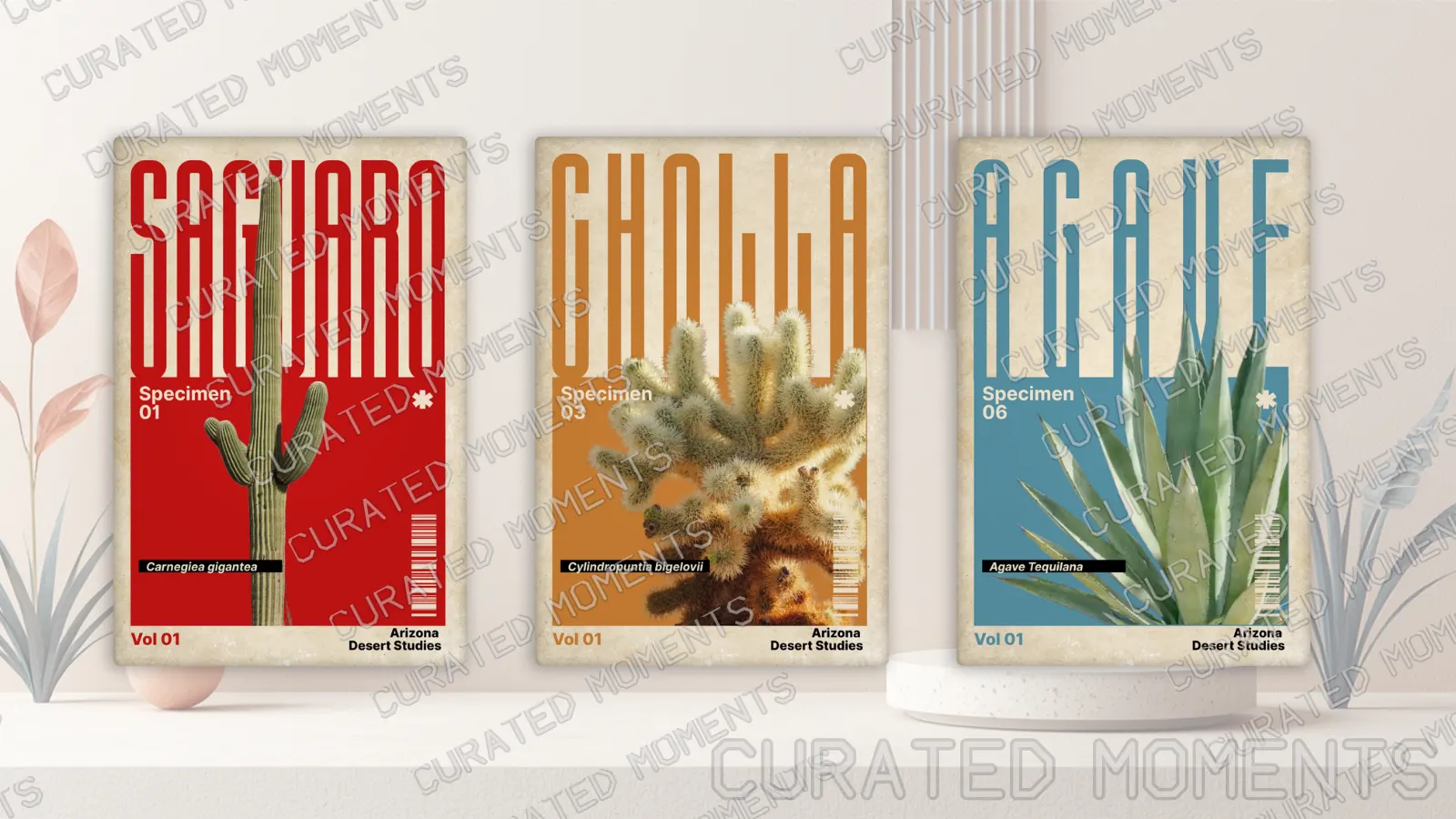 Arizona Desert Studies hero arrangement featuring Saguaro, Cholla, and Agave portrait magnets
