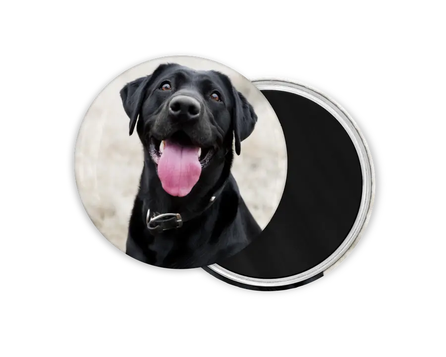 Round custom photo magnet featuring a close-up portrait of a black Labrador, shown with its magnetic back